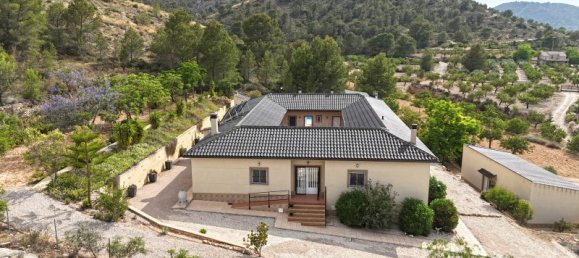 11 bedrooms House in Hondon De Las Nieves, Spain No. 162629 18