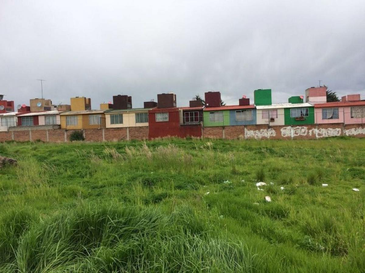  Land in San Buenaventura, Mexico No. 204715