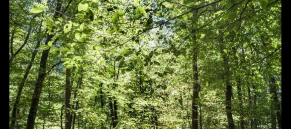  قطعة أرض في Brandenburg, Germany رقم 42415 4