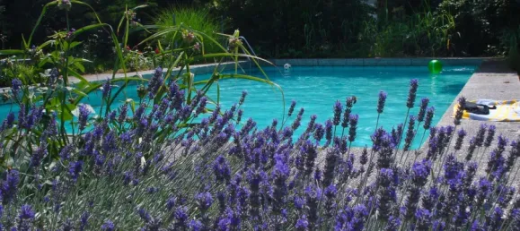 4 Schlafzimmer Haus in Rhein-Pfalz, Germany, Nr. 230202 4