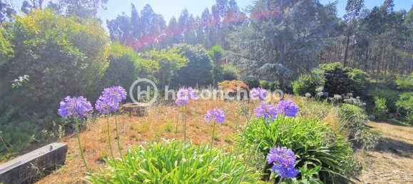 3 Schlafzimmer Haus in Balazar, Portugal, Nr. 177674 13