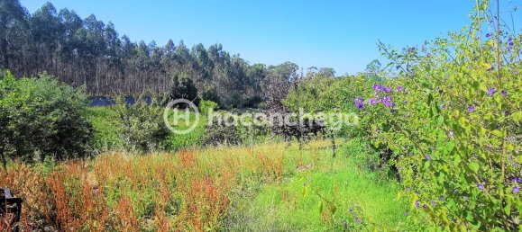 3 Schlafzimmer Haus in Balazar, Portugal, Nr. 177674 11