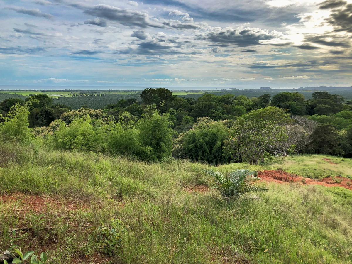 Terrain à Quepos, Costa Rica No. 1380