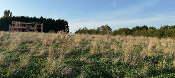  قطعة أرض في Seingbouse, France رقم 246153 5