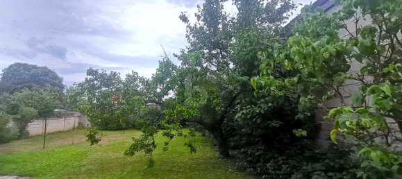 3 rooms House in Eisenstadt Umgebung, Austria No. 242729 5