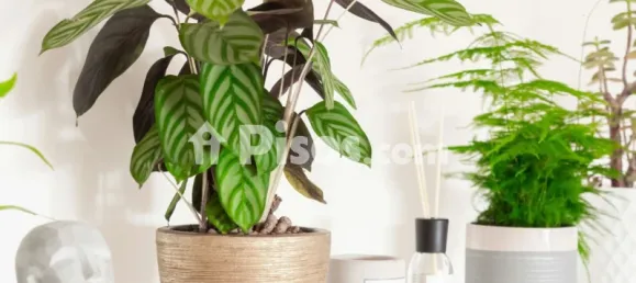 1 bedroom Office in Malaga, Spain No. 187746 3