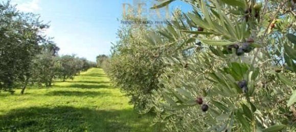Casa de 6 habitaciónes en Greve in Chianti, Italy No. 86830 3