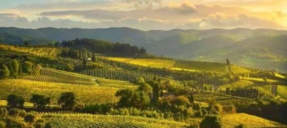 Casa de 6 habitaciónes en Greve in Chianti, Italy No. 86830 2