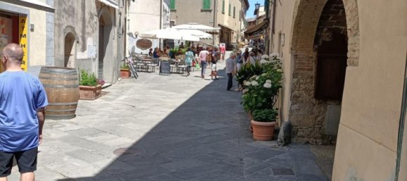 4 غرف نوم شقة في Castellina in Chianti, Italy رقم 296 6