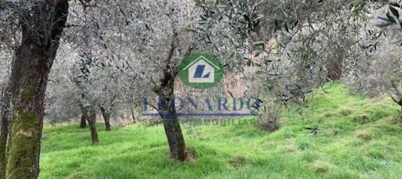 Terrain à Buggiano, Italy 5500m² No. 152737 8