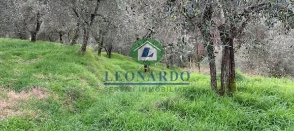 Terrain à Buggiano, Italy 5500m² No. 152737 6