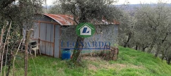 Terrain à Buggiano, Italy 5500m² No. 152737 9