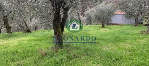 Terrain à Buggiano, Italy 5500m² No. 152737 2