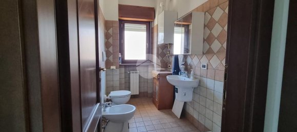 Büro in Viterbo, Italy 50m², Nr. 298466 16