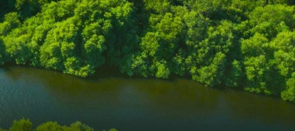 4955m² Land in Al Zorah, UAE No. 103102 16