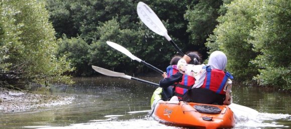 4955m² Land in Al Zorah, UAE No. 103102 17