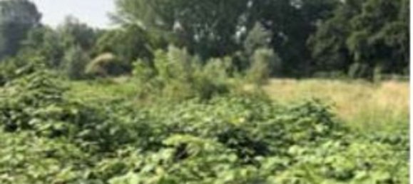 Terreno em Villanterio, Italy 1404 m² N.º 137551 9