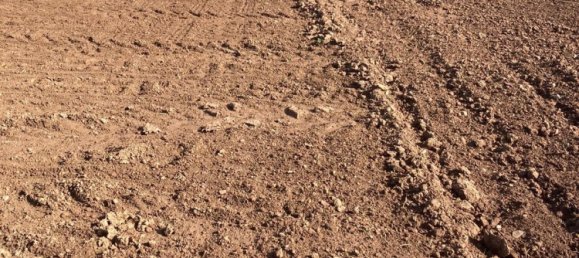 Grundstück in Düren, Germany, Nr. 218221 3