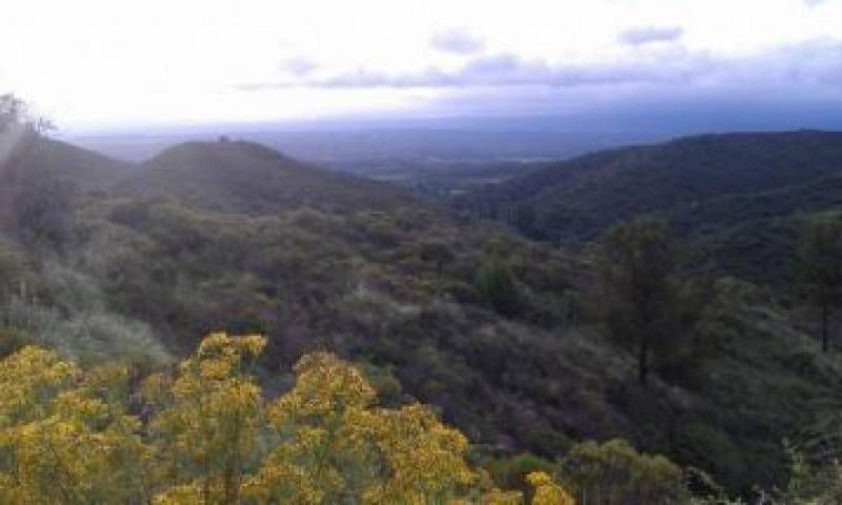  Land in Cordoba, Argentina No. 43902