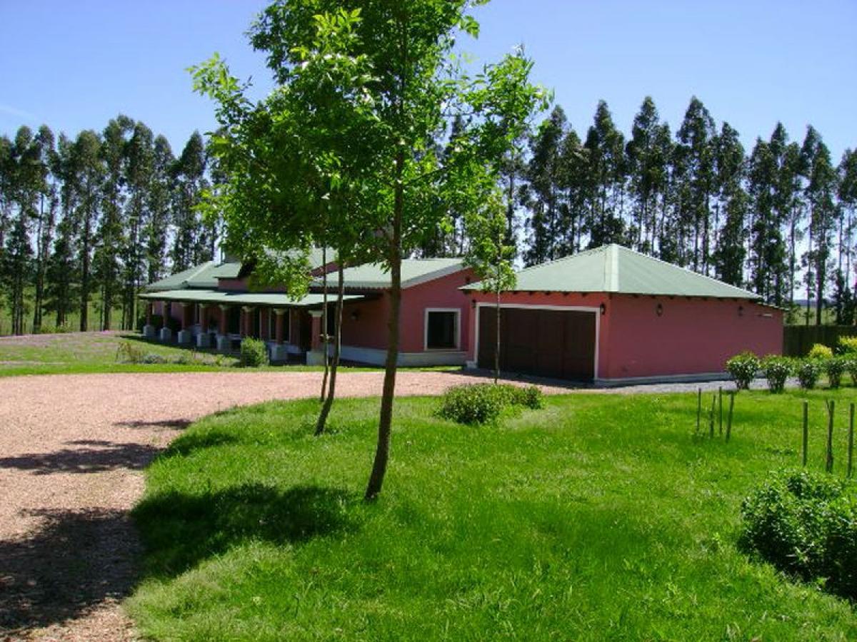  Farm in Maldonado, Uruguay No. 15504