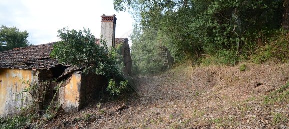 Casa T2 em Maçãs de Dona Maria, Portugal N.º 27043 19