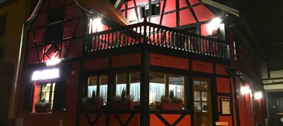 Propriété commerciale à Dettwiller, France 259m² No. 212963 4