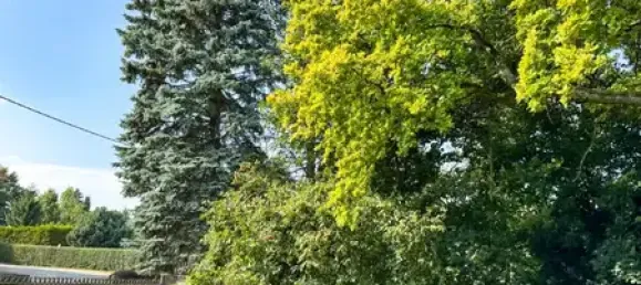 Коммерческая недвижимость с 8 комнатами в Баутцен, Германия № 291909 38