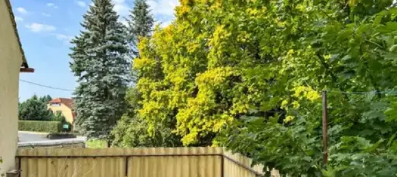 Коммерческая недвижимость с 8 комнатами в Баутцен, Германия № 291909 32