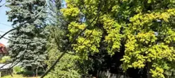 Коммерческая недвижимость с 8 комнатами в Баутцен, Германия № 291909 18