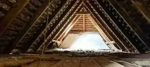 Коммерческая недвижимость с 8 комнатами в Баутцен, Германия № 291909 30