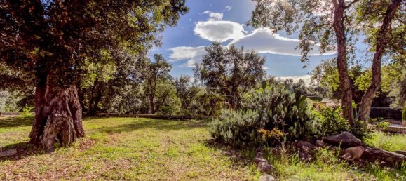 4 bedrooms Villa in Conca, France No. 51232 14