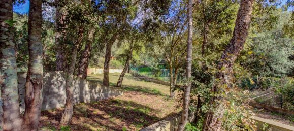 4 bedrooms Villa in Conca, France No. 51232 10