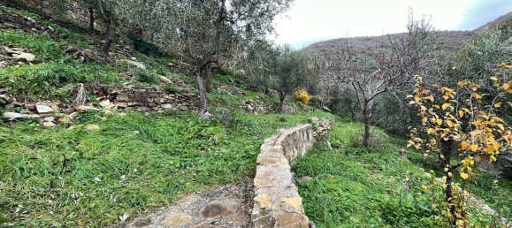 8-Zimmer Villa in Castellaro, Italy, Nr. 170755 33