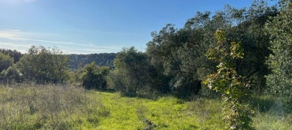 Studio in Riparbella, Italy, Nr. 211720 31