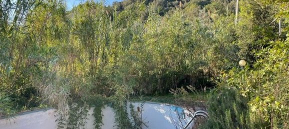 Studio in Riparbella, Italy, Nr. 211720 27