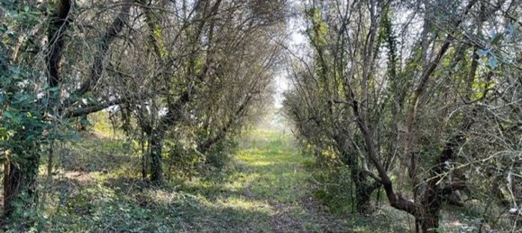 Studio in Riparbella, Italy, Nr. 211720 11