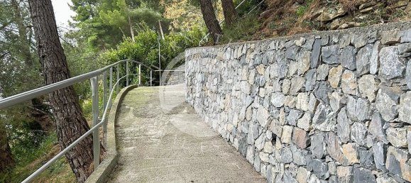 5 rooms Villa in Alassio, Italy No. 125763 14