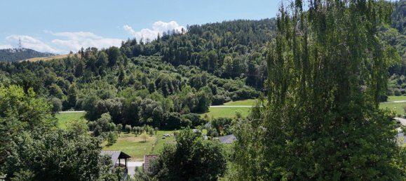  Land in Volkermarkt, Austria No. 190643 5