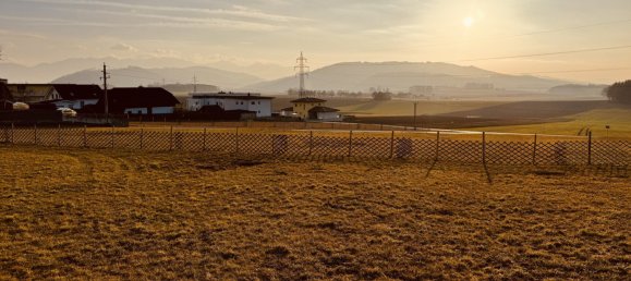  Land in Ohlsdorf, Austria No. 128183 5