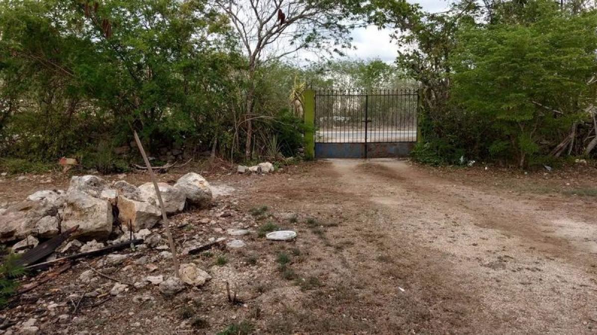 Grundstück in Merida, Mexico, Nr. 116059