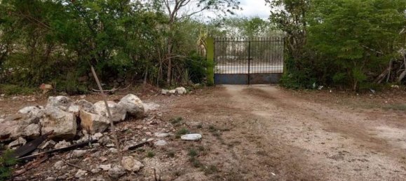 Grundstück in Merida, Mexico, Nr. 116059 2