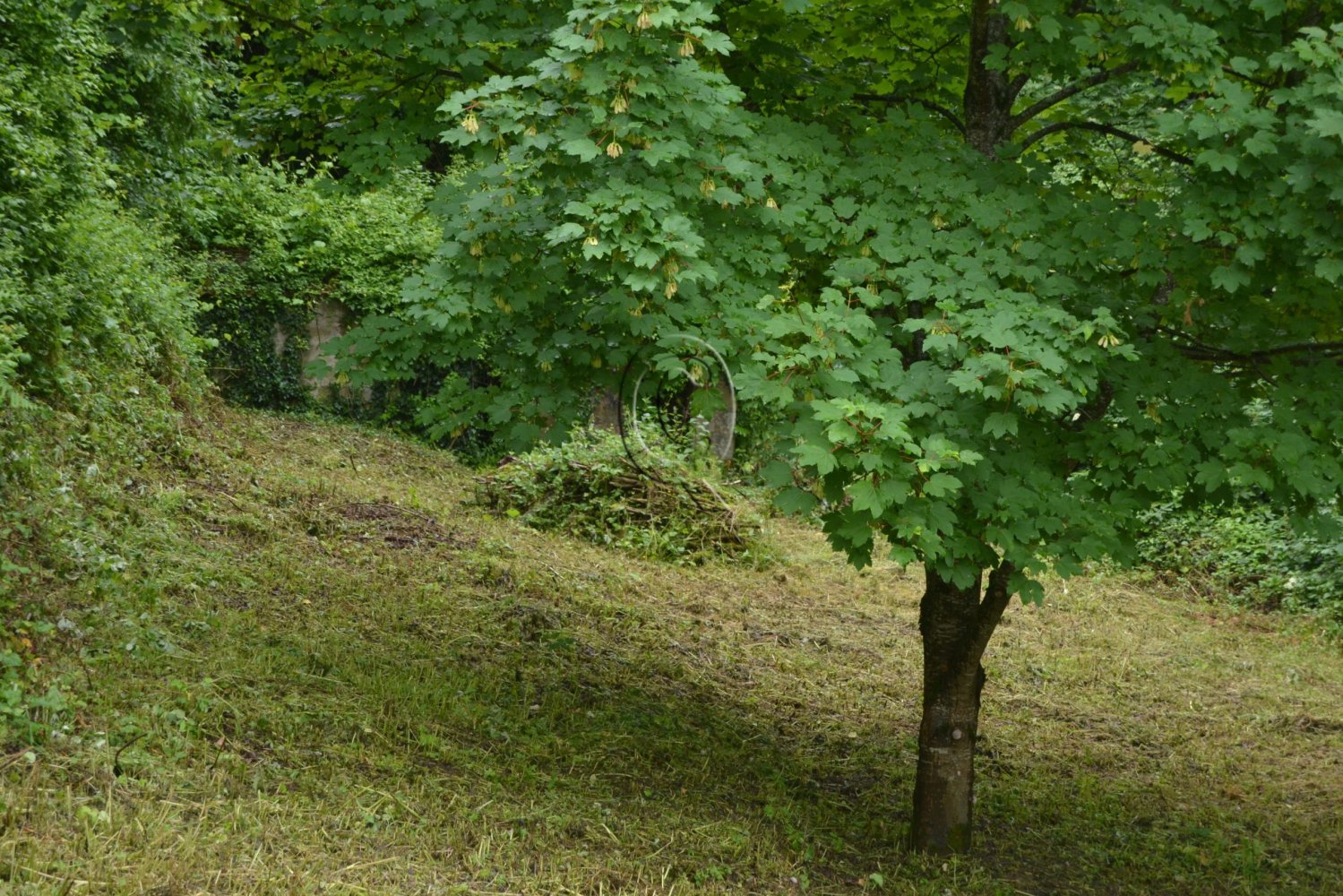 Casa de 6 habitaciónes en Bagno di Romagna, Italy No. 60302