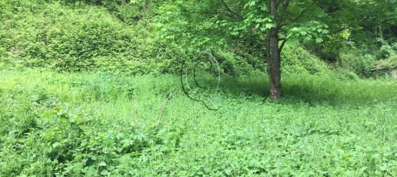 Casa de 6 habitaciónes en Bagno di Romagna, Italy No. 60302 14