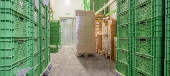 Lagerhaus in Lippe, Germany 1585m², Nr. 193617 21