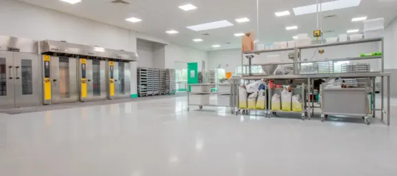 Lagerhaus in Lippe, Germany 1585m², Nr. 193617 2