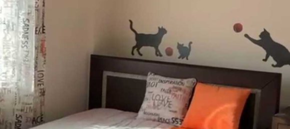 4 Schlafzimmer Gewerbliche Immobilie in Germasogeia, Cyprus, Nr. 20447 14