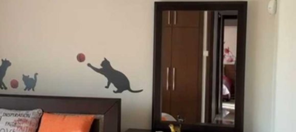 4 Schlafzimmer Gewerbliche Immobilie in Germasogeia, Cyprus, Nr. 20447 11