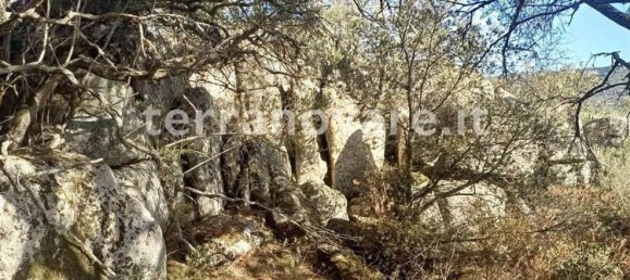 Grundstück in Sant'Antonio di Gallura, Italy 42000m², Nr. 274136 12