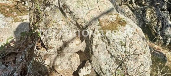 Grundstück in Sant'Antonio di Gallura, Italy 42000m², Nr. 274136 10