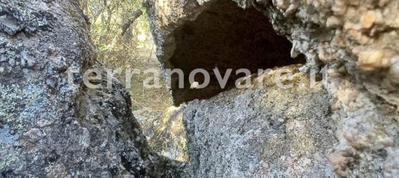 Grundstück in Sant'Antonio di Gallura, Italy 42000m², Nr. 274136 14